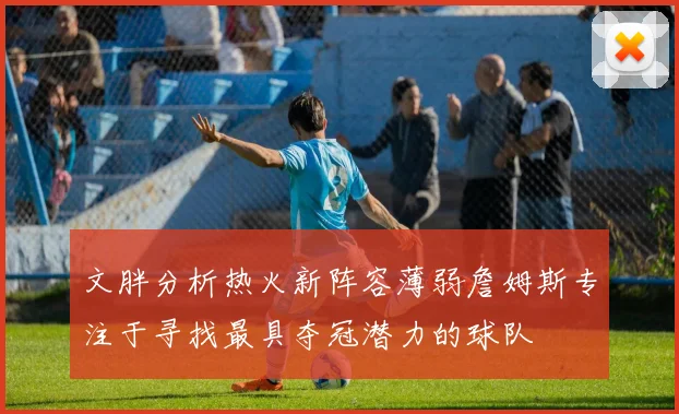 文胖分析热火新阵容薄弱詹姆斯专注于寻找最具夺冠潜力的球队