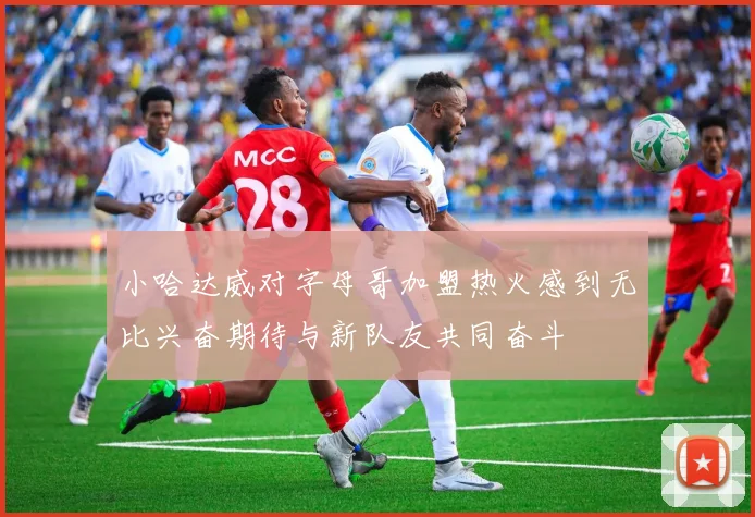 小哈达威对字母哥加盟热火感到无比兴奋期待与新队友共同奋斗