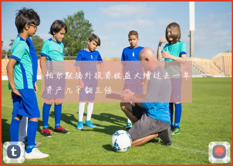 帕尔默场外投资收益大增过去一年资产几乎翻三倍